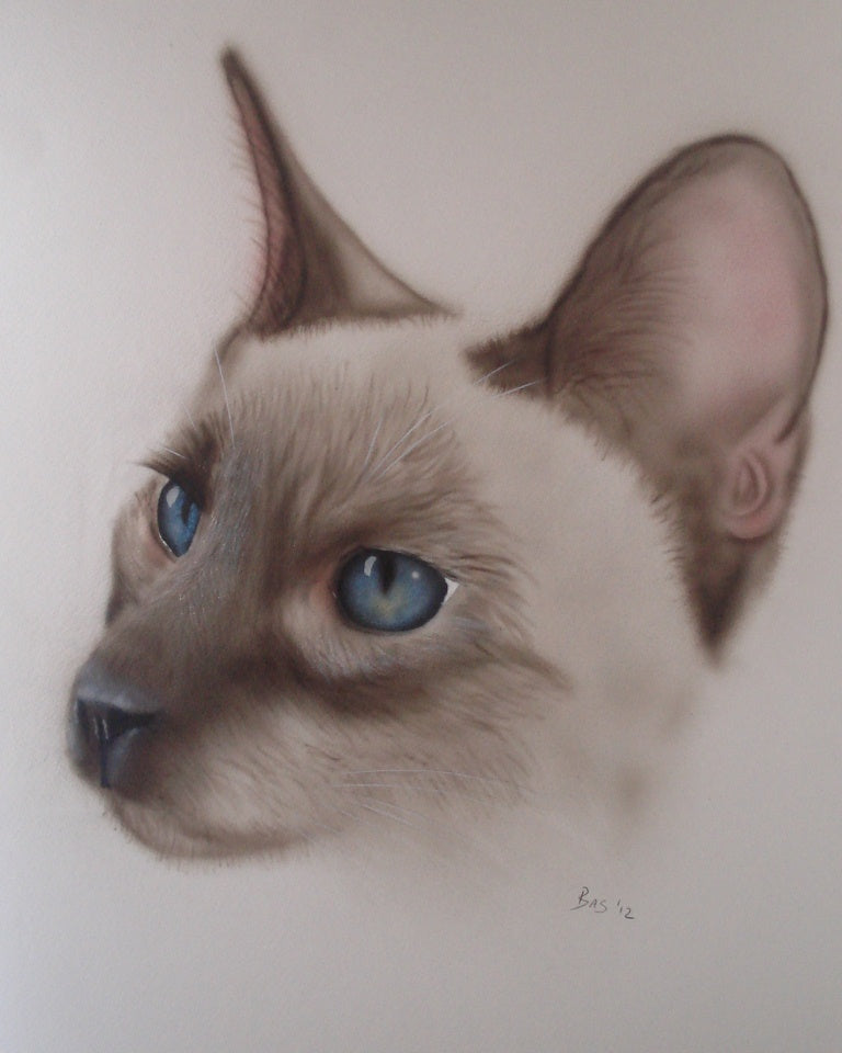 Siamese Cat